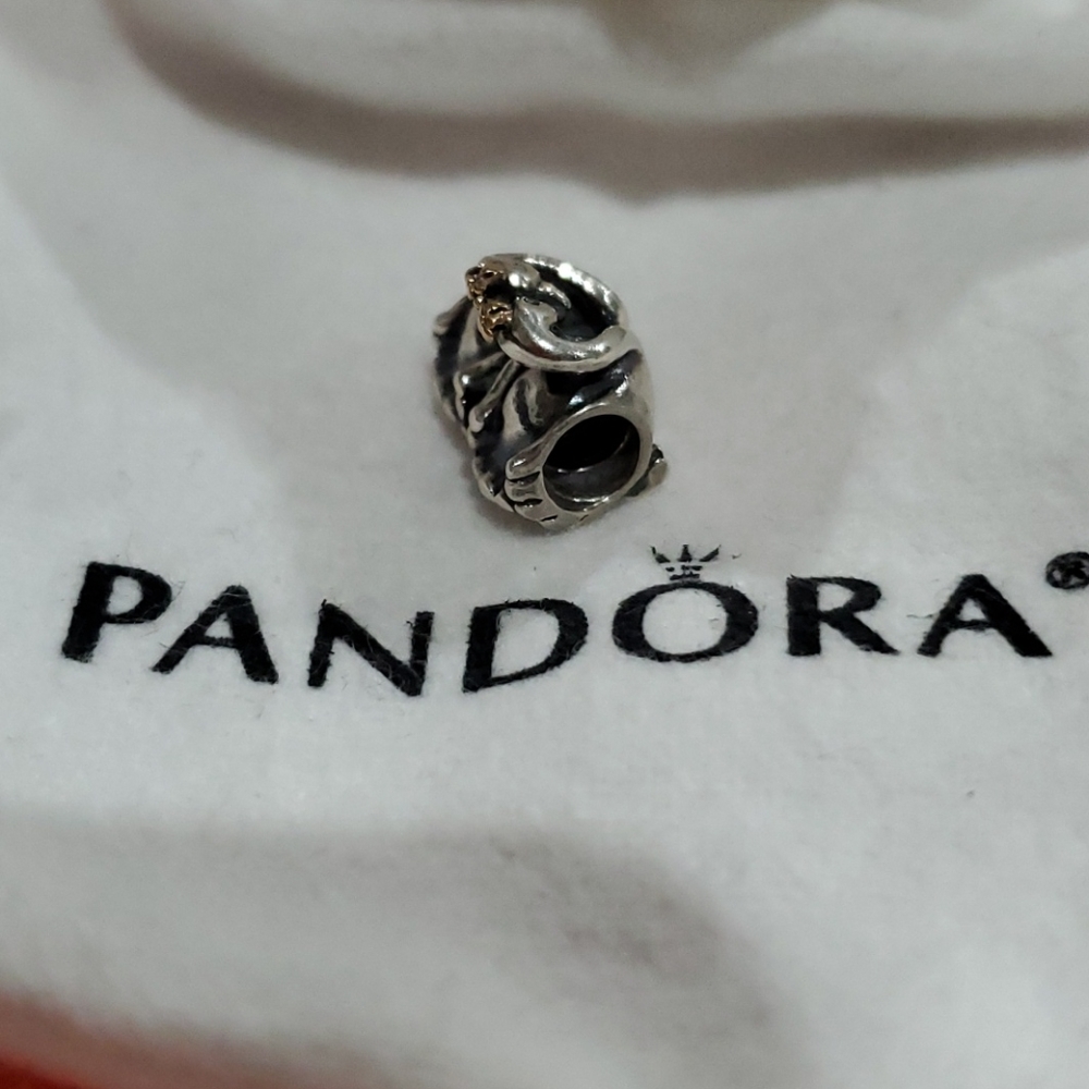 Authentic Pandora Bangle & Charm - image 5